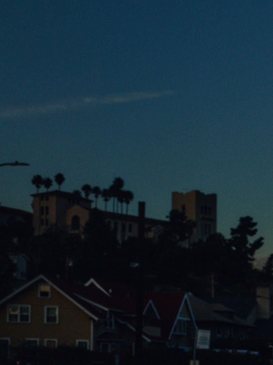 Belvedere Organic - say less 1